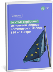 Livre blanc VSME 2025