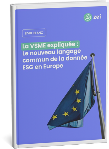 Livre blanc VSME 2025