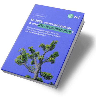 Mockup_LivreBlanc-DAF_Célestine Mockup_LivreBlanc-DAF_Célestine